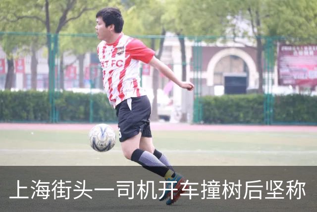 上海街头一司机开车撞树后坚称“树全责”，交警无语：树过来打你了？