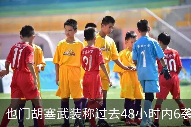 也门胡塞武装称过去48小时内6袭沙特境内目标