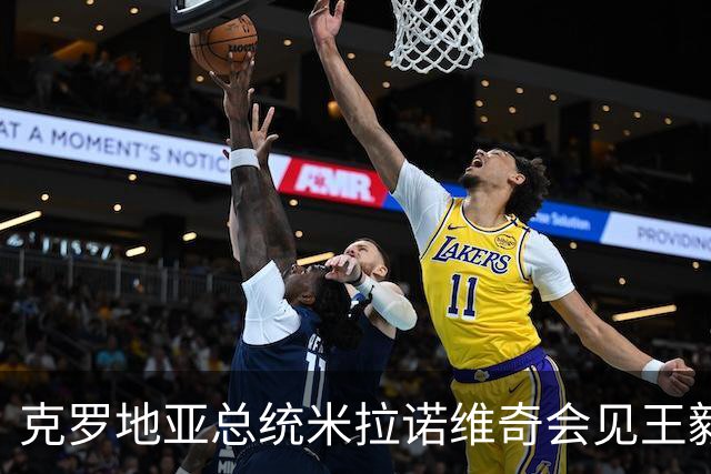 克罗地亚总统米拉诺维奇会见王毅