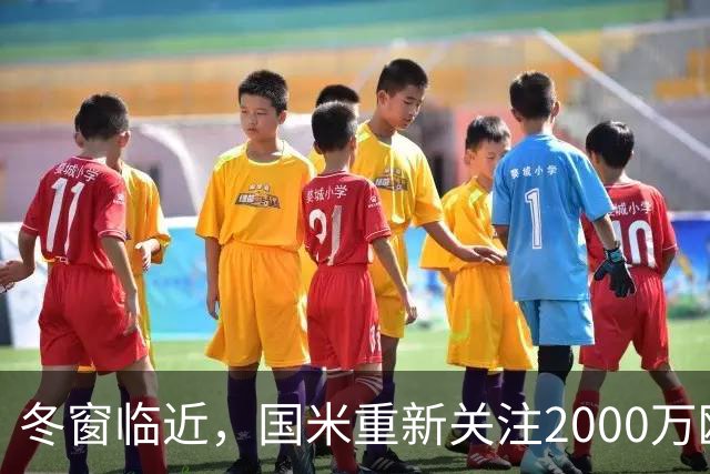 冬窗临近，国米重新关注2000万欧元27岁1米97乌迪内斯门将奥科耶