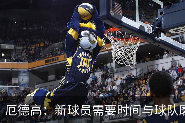 厄德高：新球员需要时间与球队磨合，我们每周都在变得更好