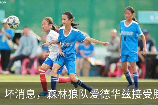 坏消息，森林狼队爱德华兹接受膝关节镜手术，将缺席两个月