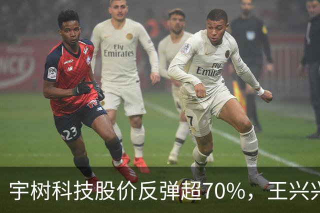宇树科技股价反弹超70%，王兴兴身家695亿元，首次入围胡润百富榜