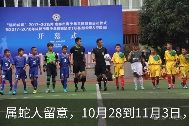 属蛇人留意，10月28到11月3日，搁置许久的事情迎来转机