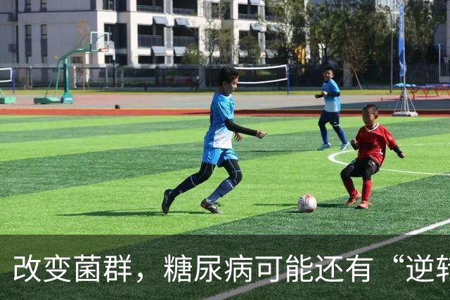 改变菌群，糖尿病可能还有“逆转”机会！