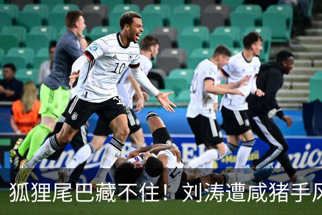 狐狸尾巴藏不住！刘涛遭咸猪手风波再升级，受害者远不止一个