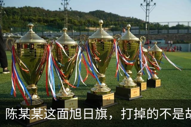 陈某某这面旭日旗，打掉的不是胡锡进的面子，是一层中邪论的滤镜