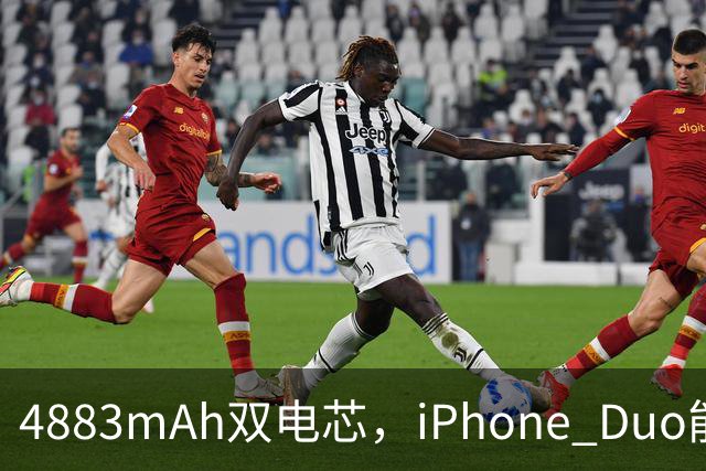 4883mAh双电芯，iPhone Duo能效标签把底牌亮了